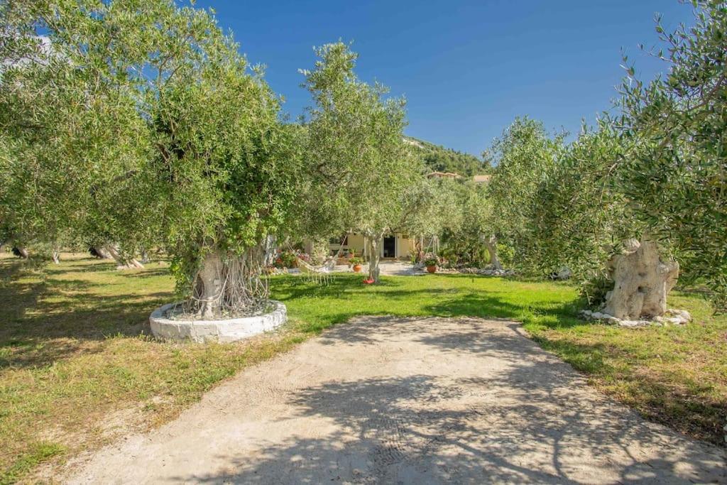 Anthia Private Studio A Breath Away From Beaches Ayios Nikitas Luaran gambar