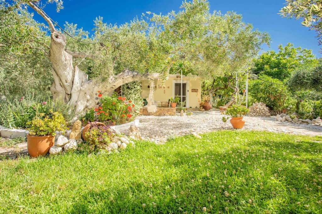 Anthia Private Studio A Breath Away From Beaches Ayios Nikitas Luaran gambar